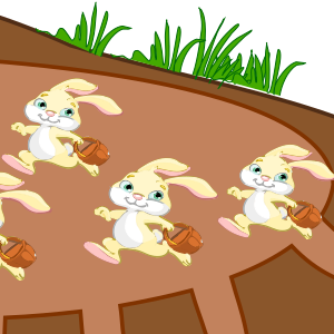 Easter bunnies' hideaway